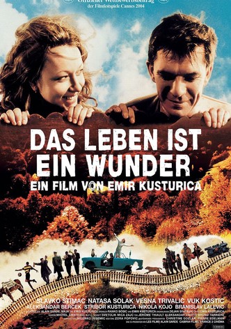 Das Leben ist ein Wunder