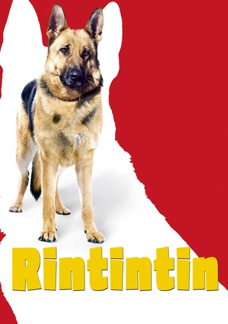 Rintintin