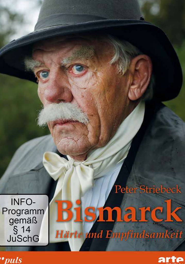 Bismarck: le dernier combat
