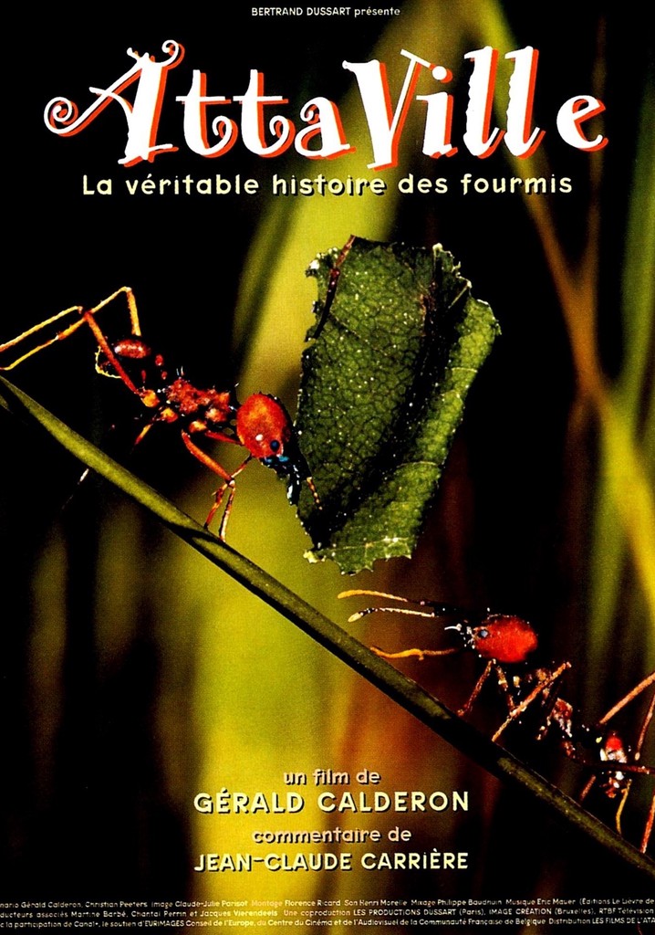 Attaville, la véritable histoire des fourmis