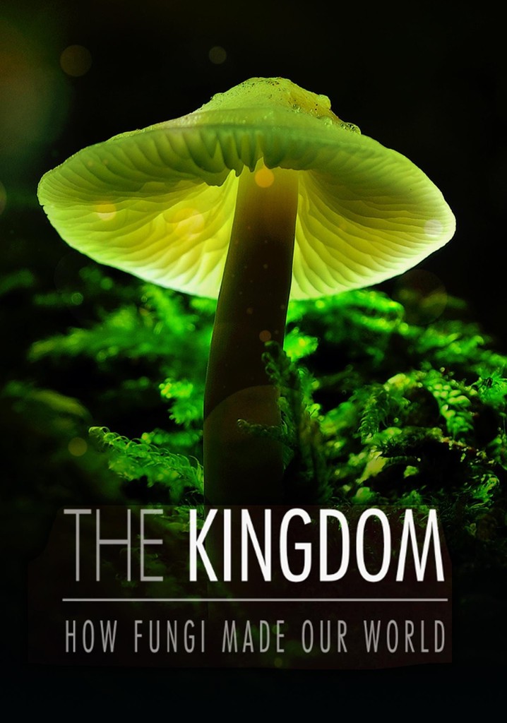 The Kingdom: How Fungi Made Our World