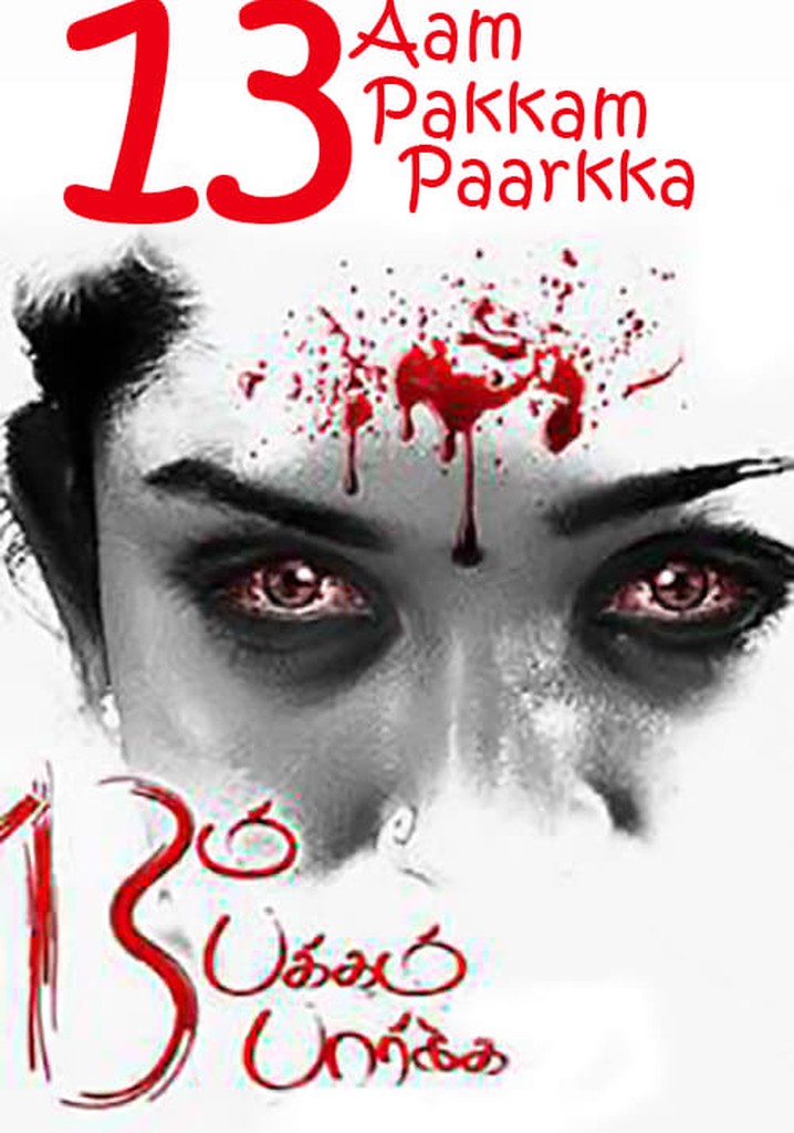 13 Am Pakkam Parkka