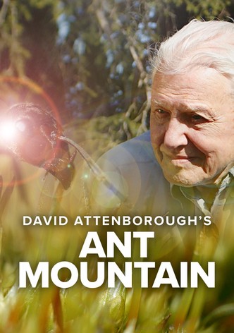 Attenborough y la montaña de las hormigas