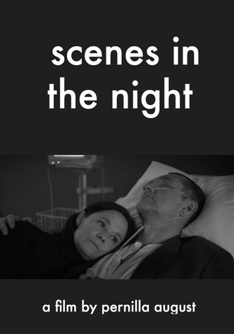 Scenes in the Night