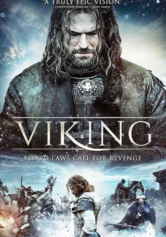 Viking poster