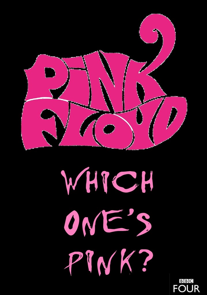 The Pink Floyd Story: Which One's Pink?
