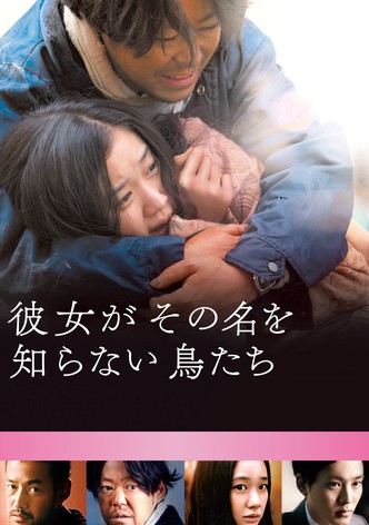 彼女がその名を知らない鳥たち