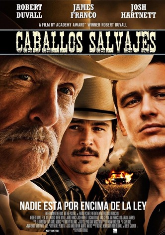 Caballos salvajes