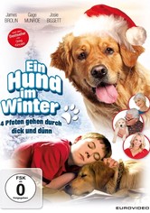Ein Hund im Winter