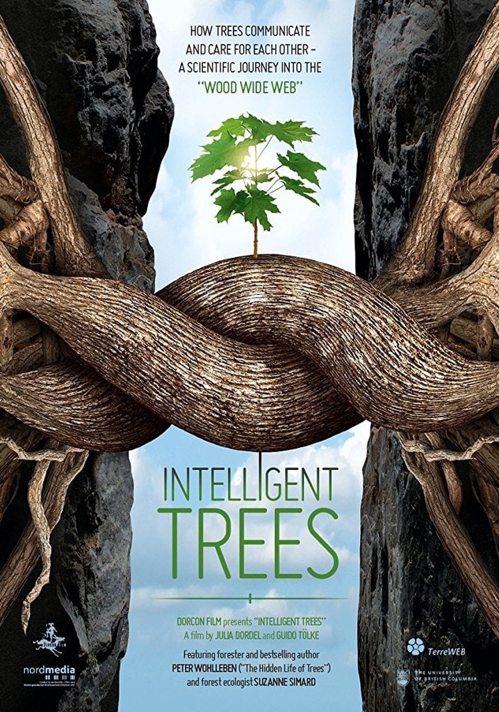 Intelligent trees 2024 watch online free