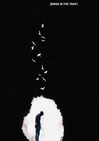 Birds in the Trap