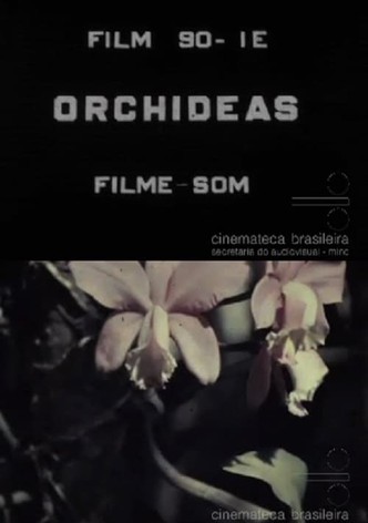 Orchids