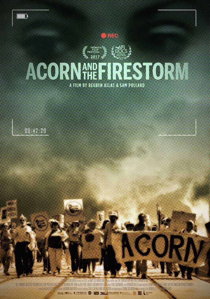 Acorn and the Firestorm