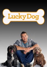 Der Hundetrainer - Lucky Dogs mit Brandon McMillan