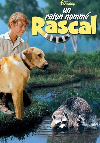 Un raton nommé rascal