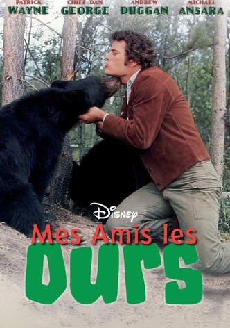 Mes amis les ours