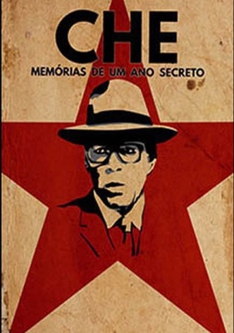 Che, Memórias de um Ano Secreto