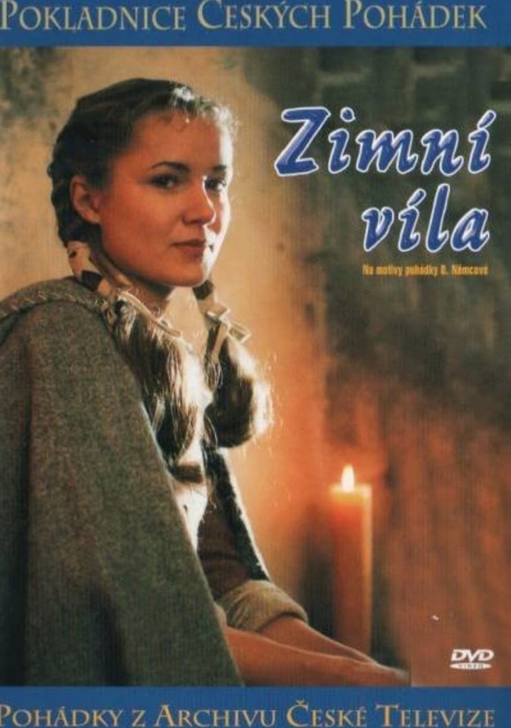Zimni vila