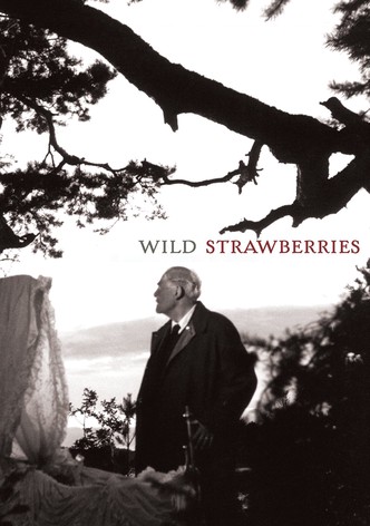 Wild Strawberries