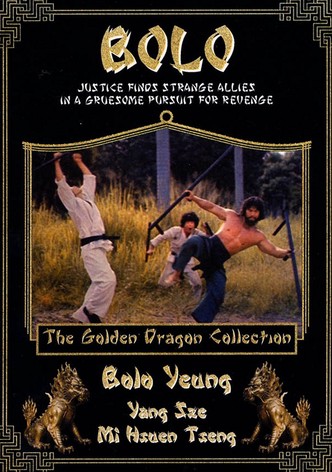 Bolo