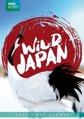 Japan: Earth's Enchanted Islands - Miniseries