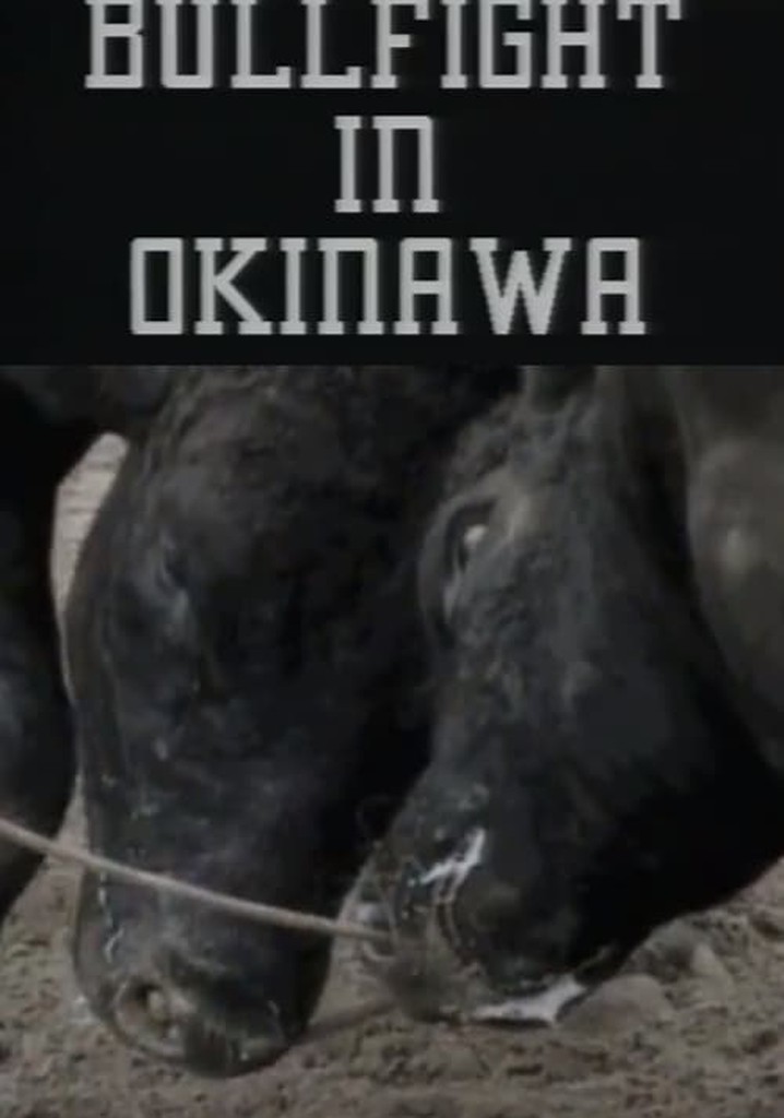 Bullfight in Okinawa