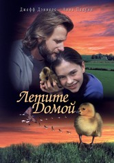 Летите домой