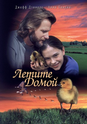 Летите домой