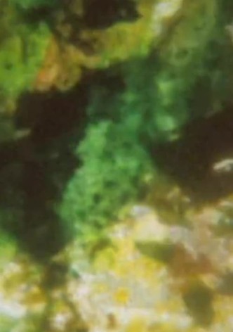 The Dog Star Man Has a Too Big Flaming Cock for the Sheba Queen