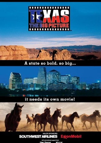 Texas: The Big Picture