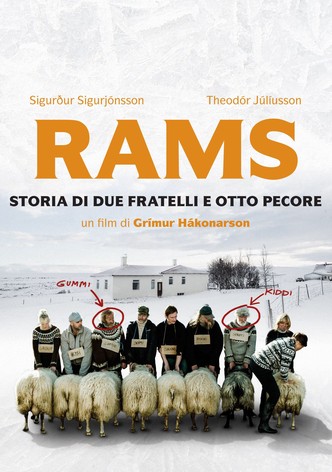 Rams - Storia di due fratelli e otto pecore