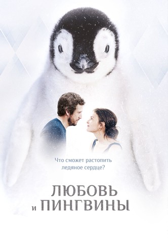 Любовь и пингвины