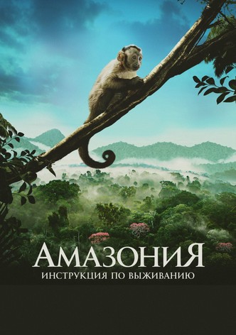 Амазония: Инструкция по выживанию