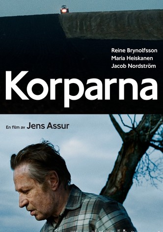 Korparna