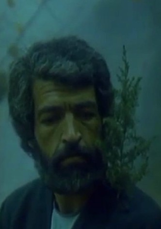 The Man with the Fir Tree