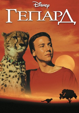 Гепард