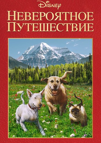 Невероятное путешествие