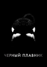 Чёрный плавник