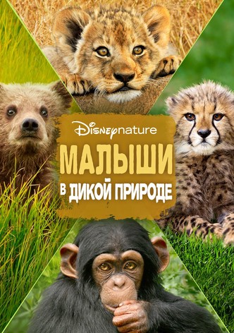 Малыши в дикой природе