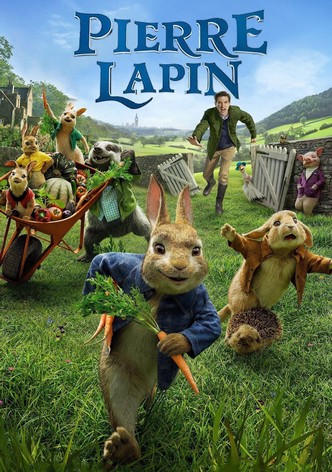 Pierre Lapin