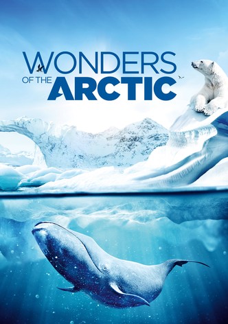 Wonders of the Arctic