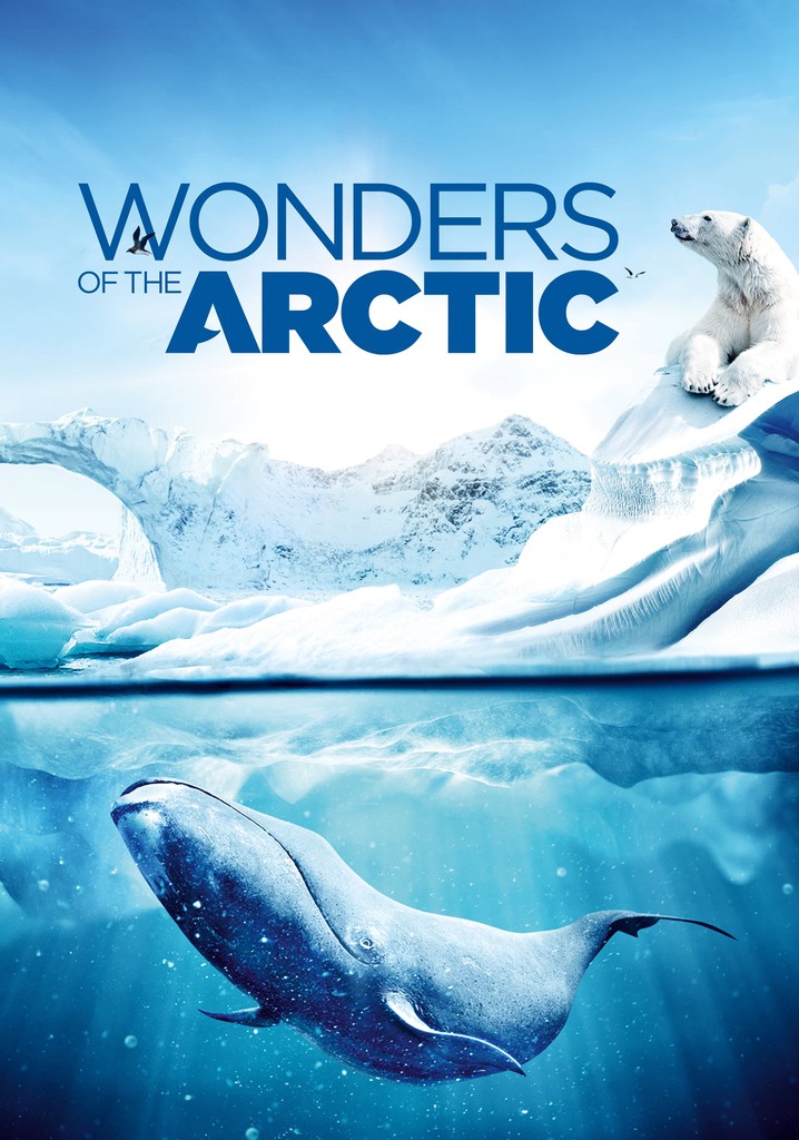 Wonders of the Arctic