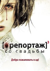 Репортаж со свадьбы