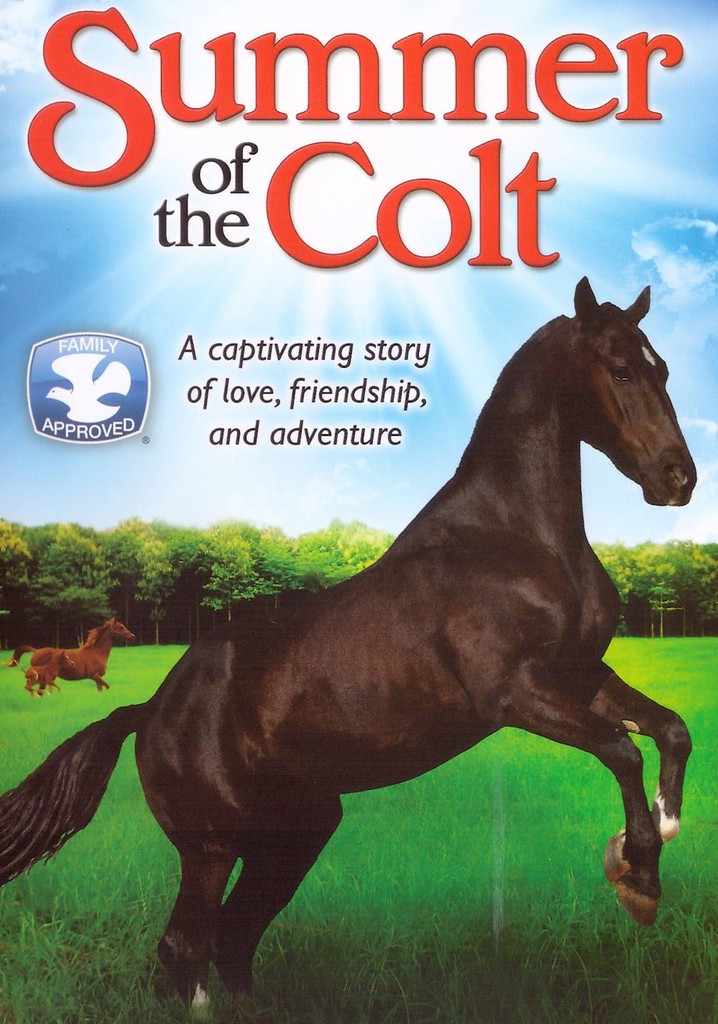 Summer of the Colt