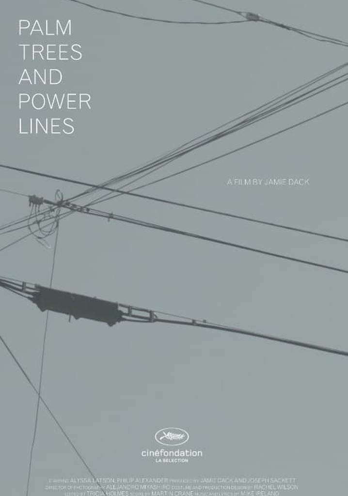 Palm Trees and Power Lines