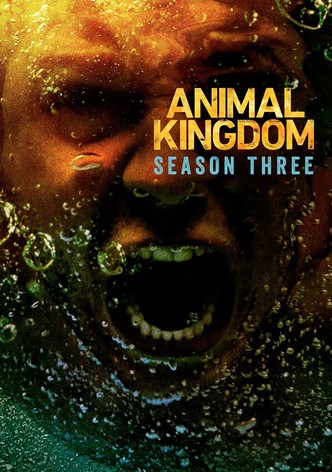 Animal Kingdom streaming tv show online