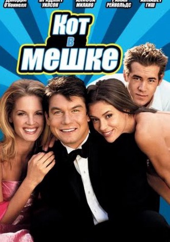 Кот в мешке