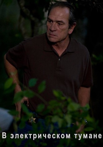 В электрическом тумане