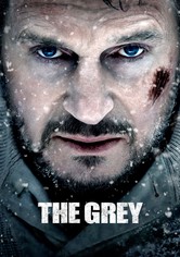 The Grey