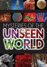 Mysteries of the Unseen World